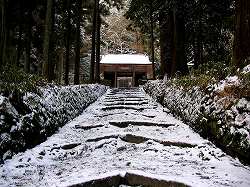 20060212magaibutsu (17).jpg